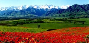 kyrgyz-landscape