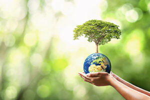 hand holding globe with planting trees and blurry green nature ecological concept. Elements of this image furnished NASA